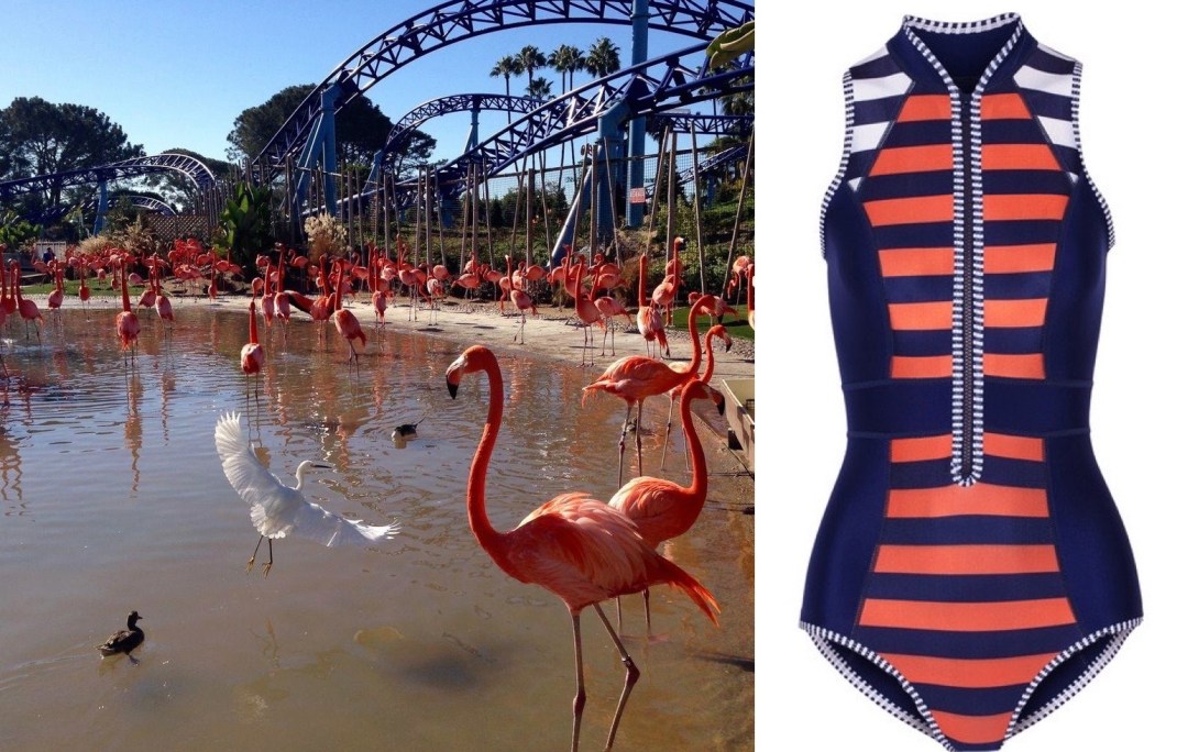 Screen Shot 2016-03-17 at 9.05.55 PM