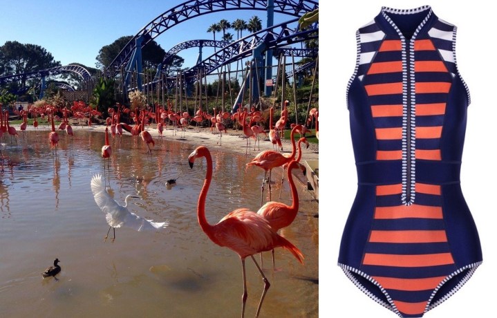 Screen Shot 2016-03-17 at 9.05.55 PM