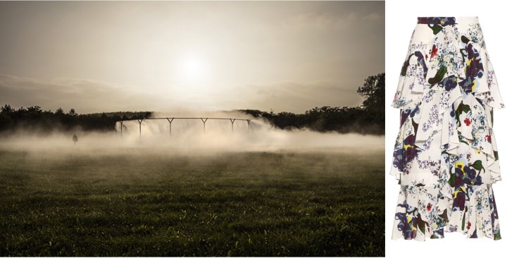 Screen Shot 2016-07-15 at 2.51.16 PM